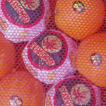 Naranja Navel Navelina