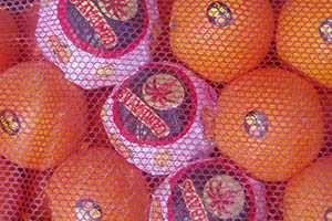 Naranja Navel Navelina