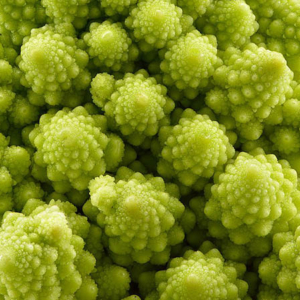 Romanesco