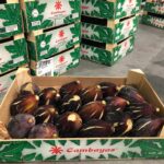 Nueva línea de Productos ecológicos: Higo ecológico