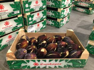 Nueva línea de Productos ecológicos: Higo ecológico